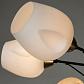 Потолочная люстра Arte Lamp Brighton A2706PL-8CK - фото №2