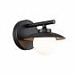 Бра Indigo Corazza 10015/1W Black V000283 - фото №1