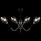 Потолочная люстра Illumico IL9960-6CSQ-79 BK AB - фото №1