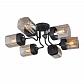 Потолочная люстра Vitaluce V4888-1/6PL - фото №1