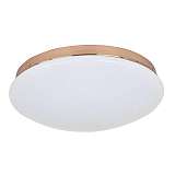 Светильник F-Promo 2465-2C