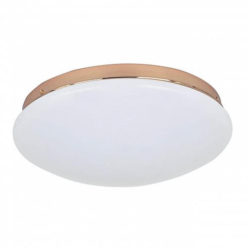 Потолочный светодиодный светильник F-Promo Ledante 2465-2C