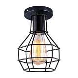Потолочный светильник Arte Lamp A1109PL-1BK