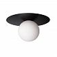 Потолочный светильник Loft IT Ufo 10120/250C Black - фото №1