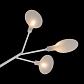 Потолочная люстра Freya Florencia FR5049CL-36W1 - фото №7