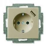Розетка ABB 2CKA002011A6194
