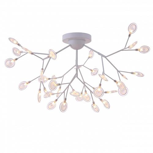 Потолочная люстра Freya Florencia FR5049CL-36W