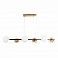Подвесная люстра Evoluce FORLI SLE220403-06 - фото №4