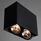 Потолочный светильник Arte Lamp Cardani A5936PL-2BK - фото №5