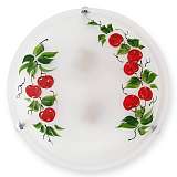 Светильник Toplight TL9371Y-02WH