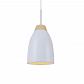 Подвесной светильник Loft IT Watchman Loft4402A-Wh - фото №3