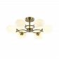 Потолочная люстра Lumion Comfi Penelopa 4549/6C - фото №1