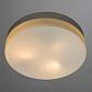 Потолочный светильник Arte Lamp Shirp A3211PL-3WH - фото №2