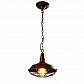 Подвесной светильник Arte Lamp Ferrico A9181SP-1BR - фото №1