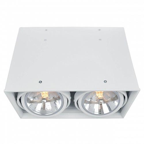 Потолочный светильник Arte Lamp Cardani A5936PL-2WH