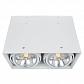 Потолочный светильник Arte Lamp Cardani A5936PL-2WH - фото №1