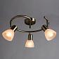 Спот Arte Lamp Parry A5062PL-3AB - фото №2