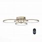 Потолочная светодиодная люстра ST Luce Twiddle Dimmer SL867.202.04 - фото №1
