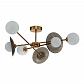 Потолочная люстра Indigo Jazz 11020/6C Brass V000163 - фото №2