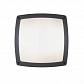Уличный настенный светильник Ideal Lux Cometa Ap3 Antracite 082240 - фото №1