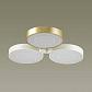 Потолочная светодиодная люстра Lumion Dilip 3646/60CL - фото №4