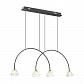 Подвесная люстра Odeon Light Arco 4100/4 - фото №1