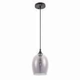 Подвесной светильник Arte Lamp Propus A4344SP-1BK