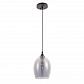 Подвесной светильник Arte Lamp Propus A4344SP-1BK - фото №1