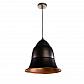 Подвесной светильник Arte Lamp Trendy A1508SP-1BR - фото №1