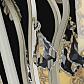 Подвесная люстра Maytoni Velvet ARM219-08-G - фото №3