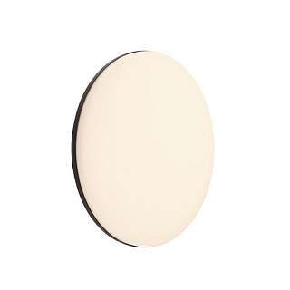 Настенно-потолочные светильники для бань и саун