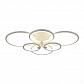 Потолочная светодиодная люстра Freya Lola FR6680-CL-L98W - фото №1