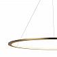 Подвесной светодиодный светильник Loft IT Ring 10014XL - фото №2