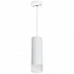 Подвесной светильник Lightstar Rullo (214486+590056+202431) RP48631 - фото №1