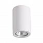 Потолочный светильник Odeon Light Gesso 3553/1C - фото №1