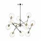 Подвесная люстра Lumion Moderni Everly 4438/12C - фото №1