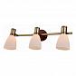Спот Toplight Sharyl TL3720Y-03BB - фото №1