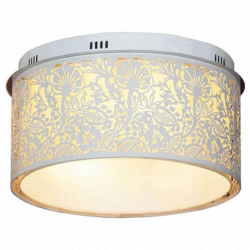 Потолочный светильник Lussole Vetere GRLSF-2307-07