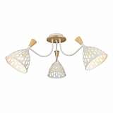 Потолочная люстра Seven Fires Gudi 66656.01.09.03