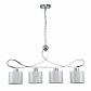Подвесная люстра Indigo Davinci 13011/4P Chrome V000265 - фото №2