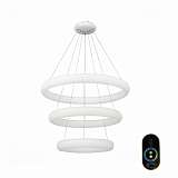Светильник ST Luce SL902.503.03D