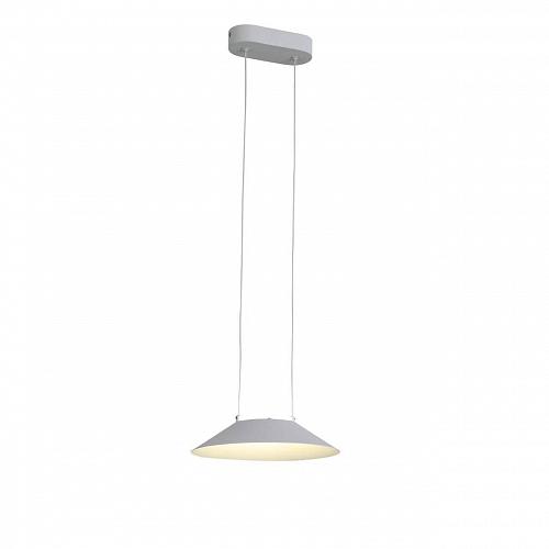 Подвесной светодиодный светильник ST Luce Pitto SL427.503.01