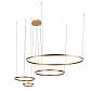 Подвесной светодиодный светильник Loft IT Ring 10017/4M - фото №1