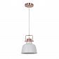 Подвесной светильник Odeon Light Sert 3324/1 - фото №1