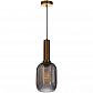 Подвесной светильник Loft IT IRIS 2070-A+BR - фото №1