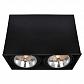 Потолочный светильник Arte Lamp Cardani A5936PL-2BK - фото №1