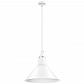 Подвесной светильник Lightstar Loft 765026 - фото №1