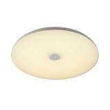 Потолочный светодиодный светильник Sonex Roki muzcolor Vasta led 4629/CL