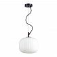 Подвесной светильник Odeon Light Roofi 4753/1 - фото №1