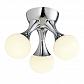Потолочная светодиодная люстра ST Luce Colato SL553.502.03 - фото №1
